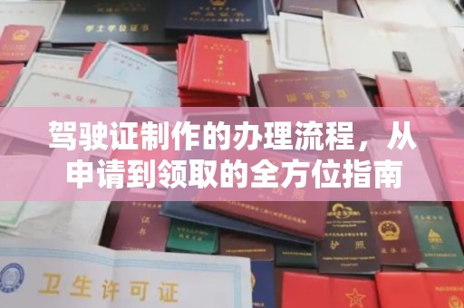 萨嘎驾驶证制作的办理流程，从申请到领取的全方位指南