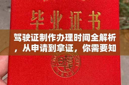 萨嘎驾驶证制作办理时间全解析，从申请到拿证，你需要知道的一切