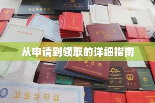 萨嘎从申请到领取的详细指南