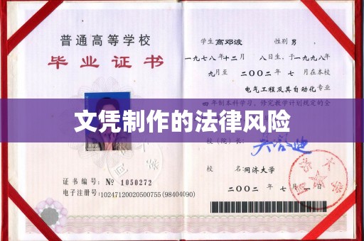 萨嘎文凭制作的法律风险