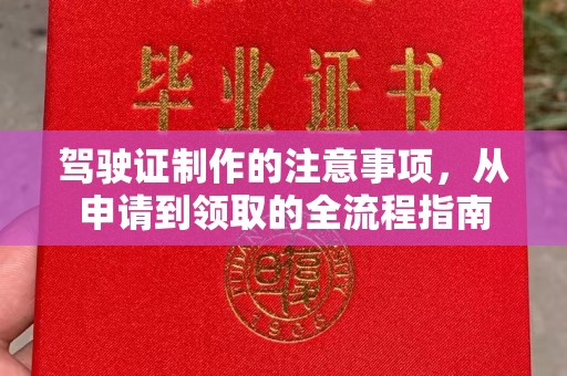 萨嘎驾驶证制作的注意事项，从申请到领取的全流程指南