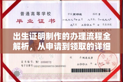 萨嘎出生证明制作的办理流程全解析，从申请到领取的详细指南