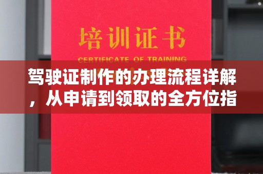 萨嘎驾驶证制作的办理流程详解，从申请到领取的全方位指南