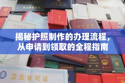 萨嘎揭秘护照制作的办理流程，从申请到领取的全程指南
