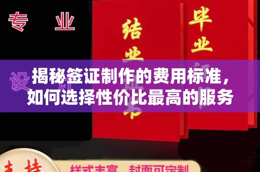 萨嘎揭秘签证制作的费用标准，如何选择性价比最高的服务？