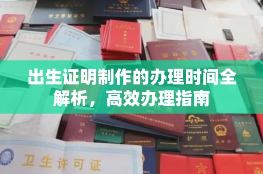 萨嘎出生证明制作的办理时间全解析，高效办理指南