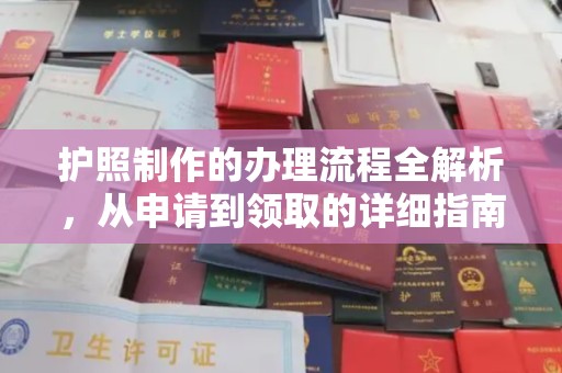 萨嘎护照制作的办理流程全解析，从申请到领取的详细指南