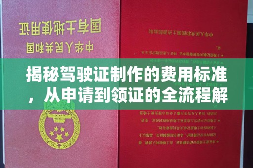 萨嘎揭秘驾驶证制作的费用标准，从申请到领证的全流程解析