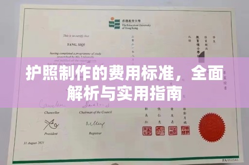 萨嘎护照制作的费用标准，全面解析与实用指南
