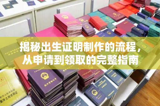 萨嘎揭秘出生证明制作的流程，从申请到领取的完整指南