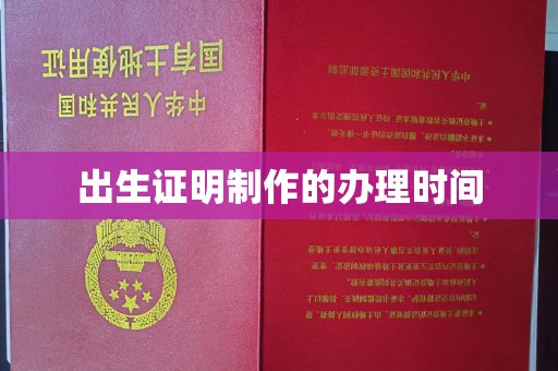 萨嘎出生证明制作的办理时间