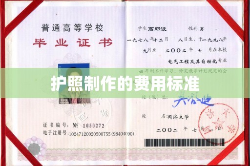 萨嘎护照制作的费用标准